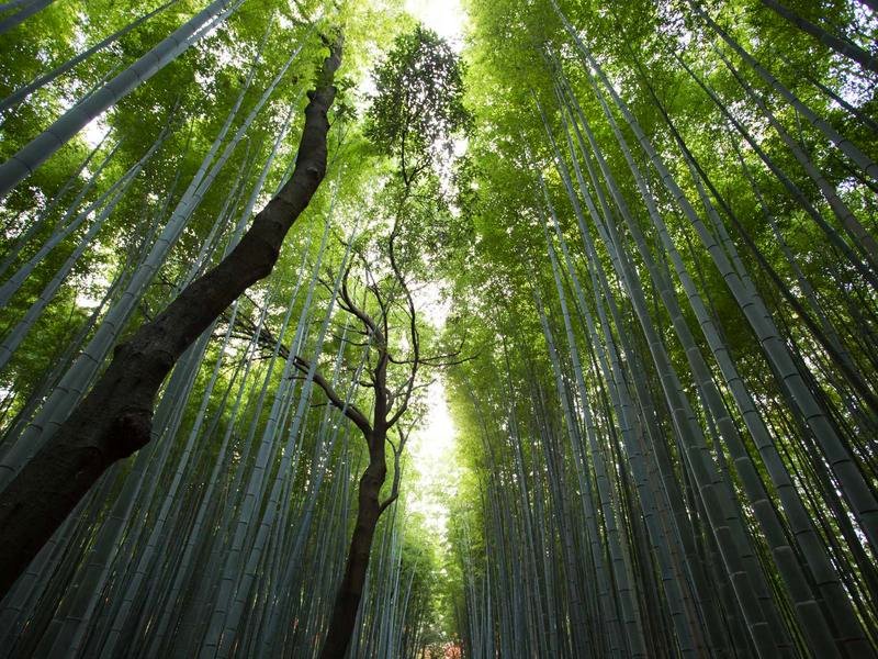 场馆管理